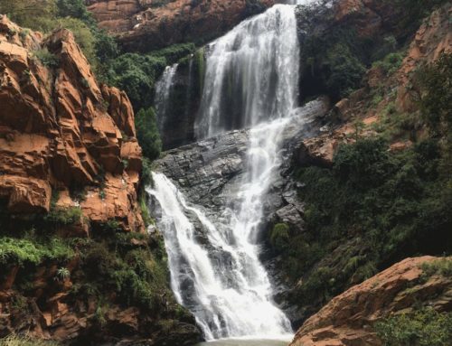 Pretoria Botanical Gardens