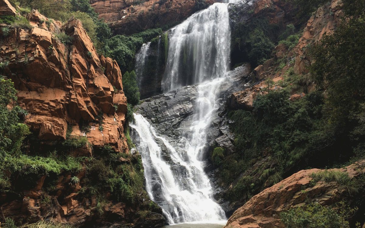 Pretoria Botanical Gardens