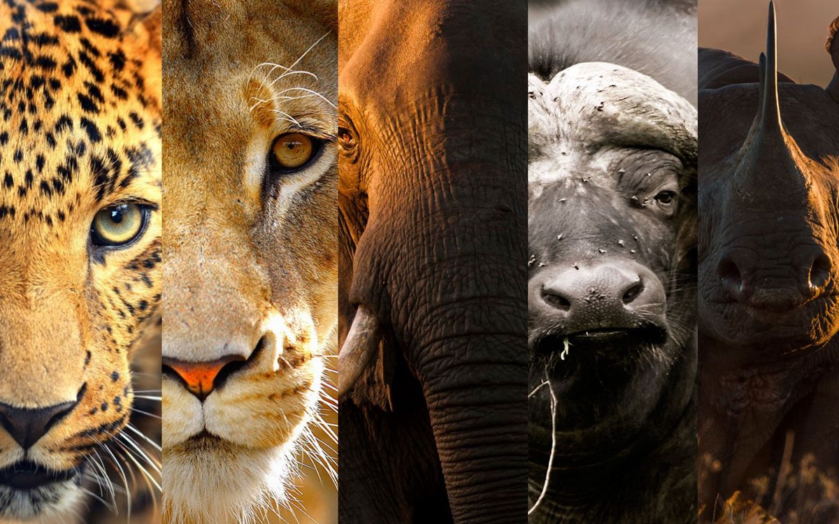 Nature & Wildlife Areas